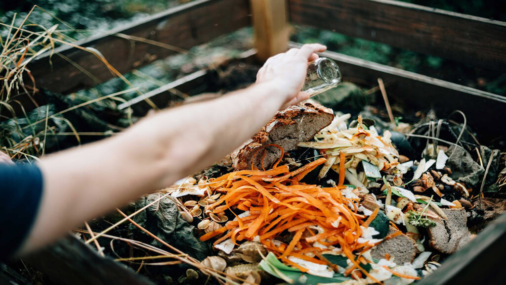 Climate Action in Practice: Actionable Insights to Reduce Food Loss & Waste