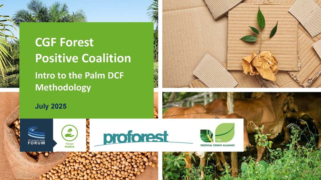 Intro to the Palm DCF Methodology