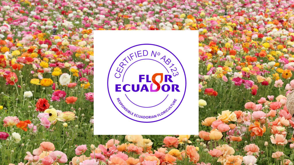 Flor Ecuador Plus Certified® Applies for SSCI Benchmarking