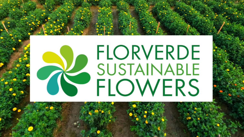 SSCI’s Environmental Benchmark Receives First Applicant from USD 2 Billion Floriculture Industry