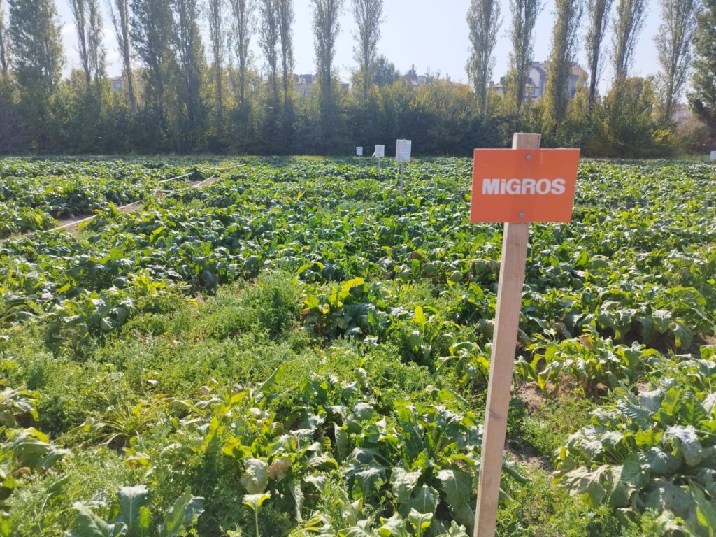 Cultivating Change: Migros Ticaret’s Path to Regenerative Agriculture