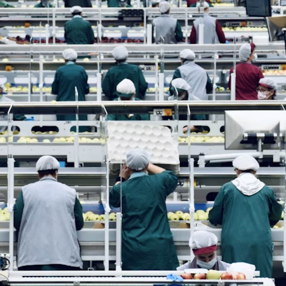 The Consumer Goods Forum’s Human Rights Coalition Shares Member Progress in Tackling Forced Labour