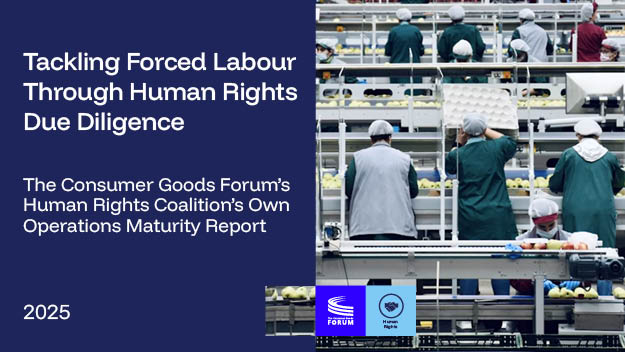 Tackling Forced Labour Through Human Rights Due Diligence — the Human Rights Coalition’s Own Operations Maturity Report