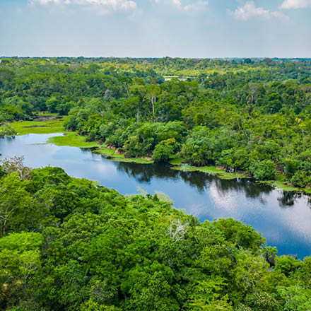 Forest Positive Coalition Publishes 2025 Report on Deforestation- and Conversion-Free Supply Chain Adoption by Consumer Goods Companies