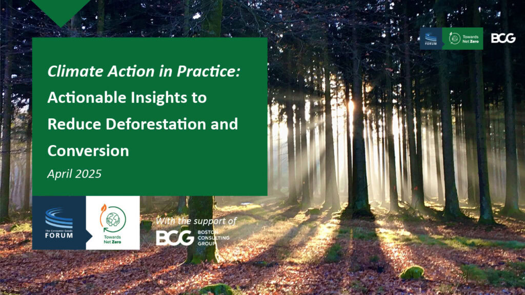 Climate Action in Practice: Actionable Insights to Reduce Deforestation