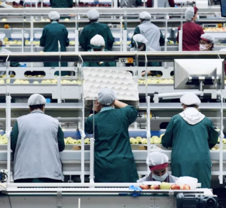 Tackling Forced Labour Through Human Rights Due Diligence — the Human Rights Coalition’s Own Operations Maturity Report