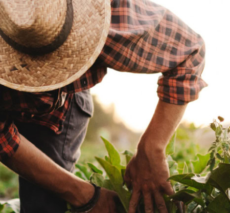 Expert series: Best practice for business on human rights defenders