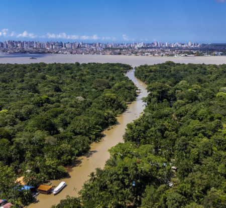 What COP30 signals for business leadership on forests