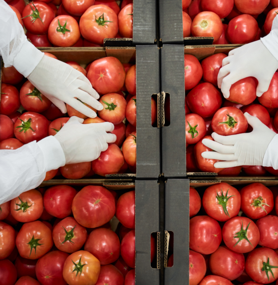 Climate opportunity of food waste reduction