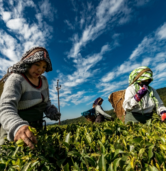 Working together to strengthen human rights due diligence and address systemic risks