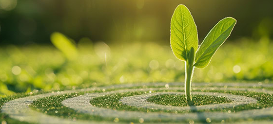 Your Roadmap for Supplier Engagement