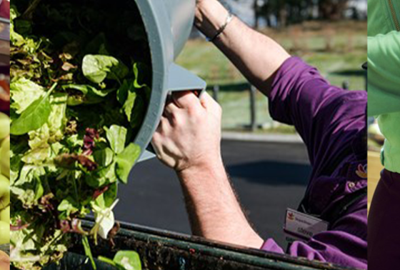 Ahold Delhaize Shares Their Business Case For Supplier Engagement