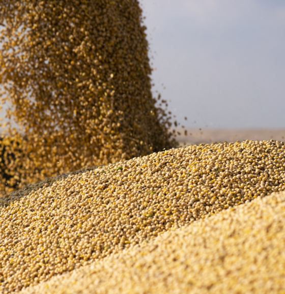 Commodity roadmaps