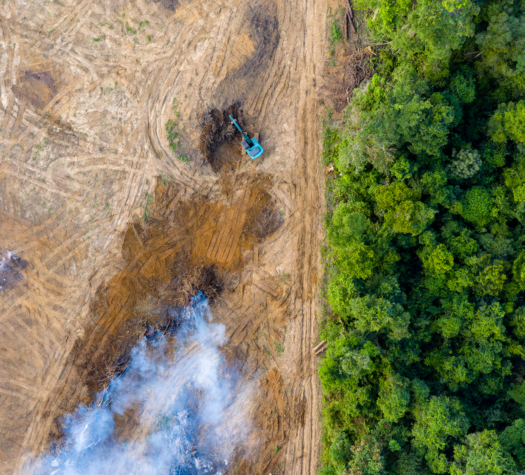 Monitoring, response and addressing high-risk origins 
