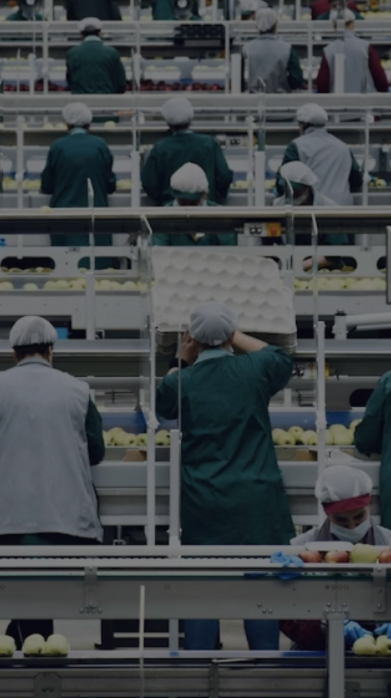 Tackling Forced Labour Through Human Rights Due Diligence 
