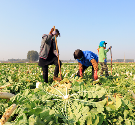 The Consumer Goods Forum’s Food Waste Coalition reports 22% reduction in food waste intensity