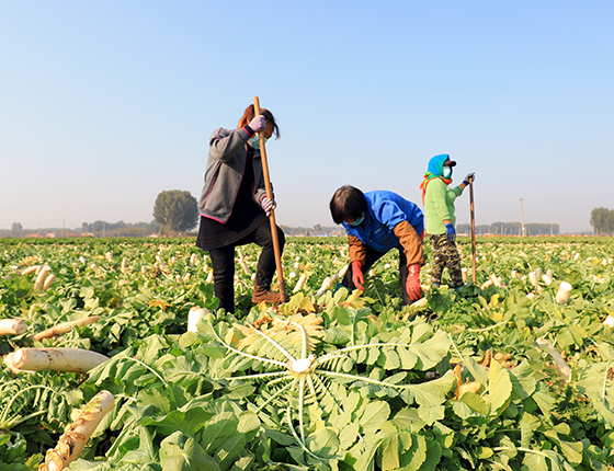 The Consumer Goods Forum’s Food Waste Coalition reports 22% reduction in food waste intensity