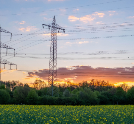 The AI footprint: What consumer goods companies need to know about AI’s environmental impacts