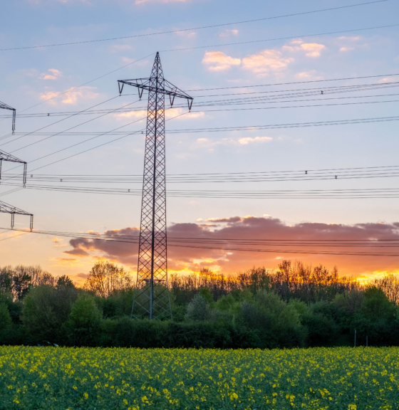 Report identifies how AI brings environmental challenges and opportunities to the consumer goods sector