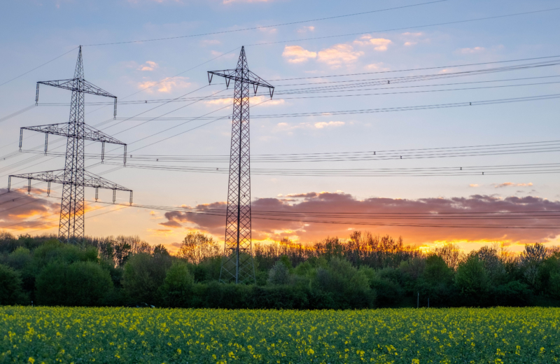 The AI footprint: What consumer goods companies need to know about AI’s environmental impacts