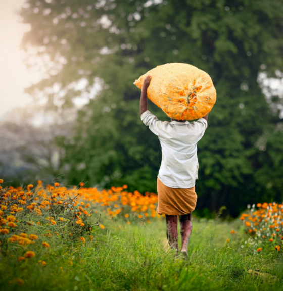 The Consumer Goods Forum’s Sustainable Supply Chain Initiative (SSCI) recognises the Ethiopian Horticulture Producer Exporters Association (EHPEA)