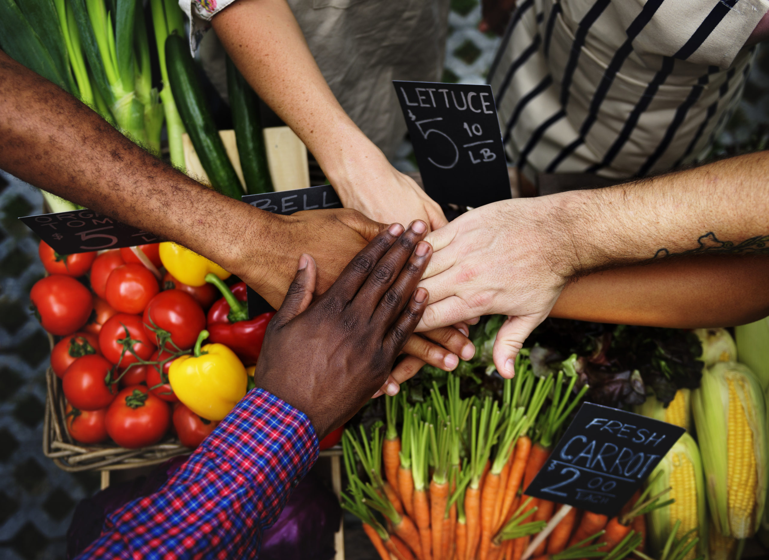 scaling-up-the-10x20x30-initiative-the-consumer-goods-forum