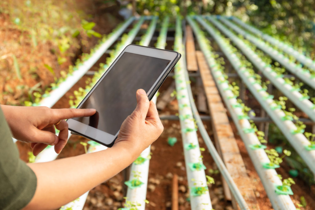 Understanding the Scale of the Global Food Loss Problem is Our First Step Towards Fixing It