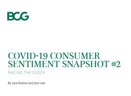 Covid-19 Consumer Sentiment Snapshot #2