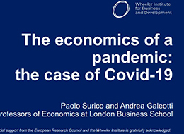 The Economics of a Pandemic: The Case of Covid-19