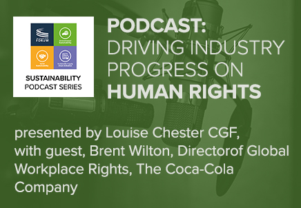 Driving Industry Progress on Human Rights