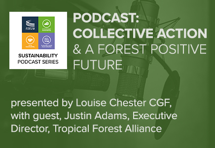 Collective Action and a Forest Positive Future