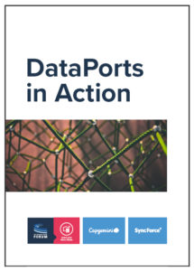 dataports-in-action-cover-e2e