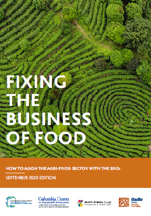 Fixing the Business of Food: How to Align The Agri-Food Sector With The SDGs