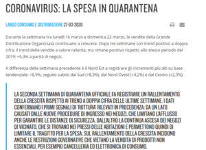 Coronavirus: La Spesa in Quarantena