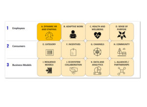 Learnings & New Normal Framework Overview – All 12 Modules – Employees, Consumers & Business Models